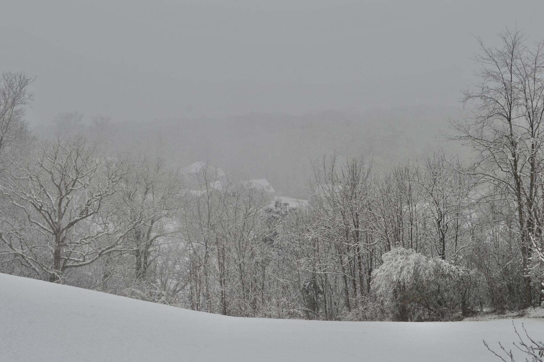 Snow day 12.JPEG